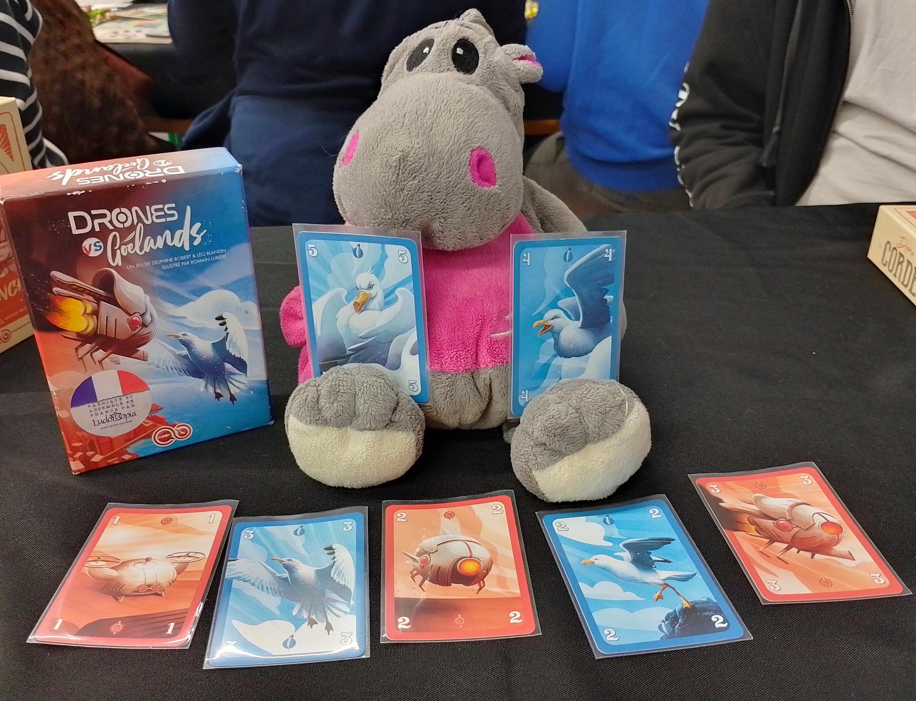 Je menvole tel un go&euml;land au dessus des oc&eacute;ans